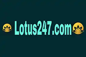 lotus247.webp